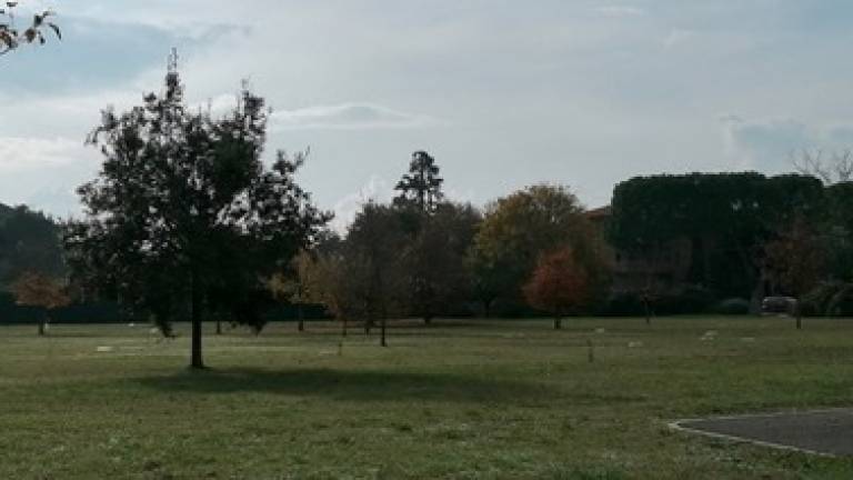 Cesena, triste scoperta al parco: Distrutto il bosco dei bambini