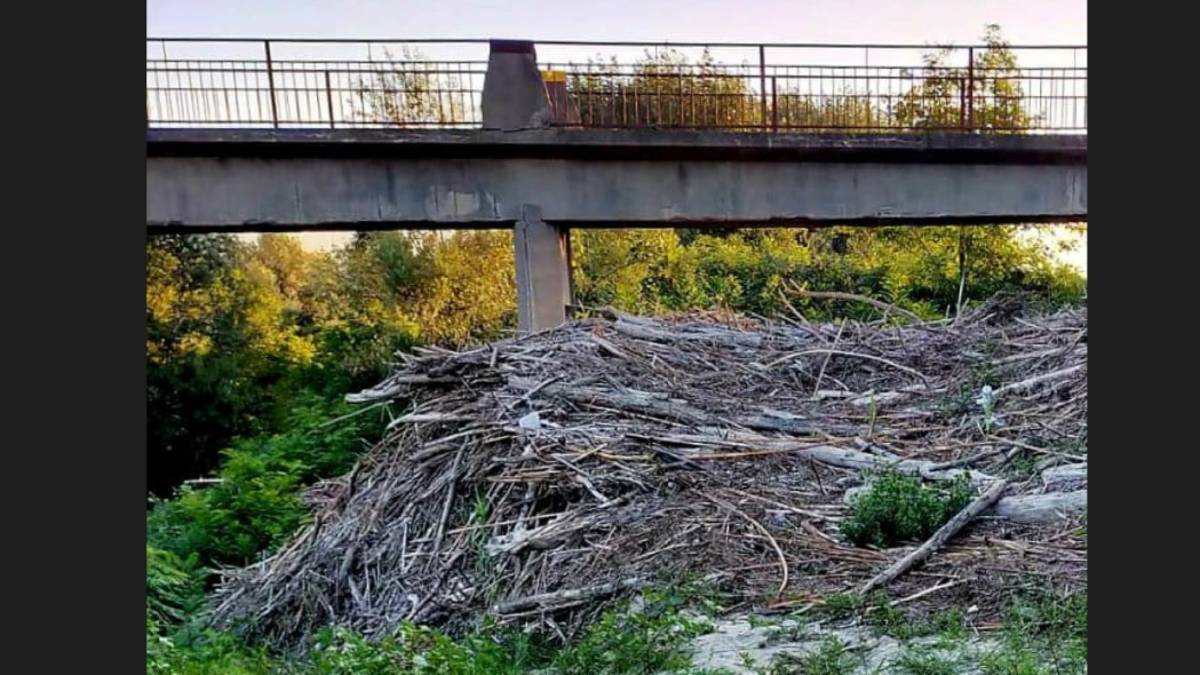 Lugo, a 90 giorni dall'alluvione, una diga di tronchi e rami sul Santerno a Villa San Martino: Incuria inaccettabile