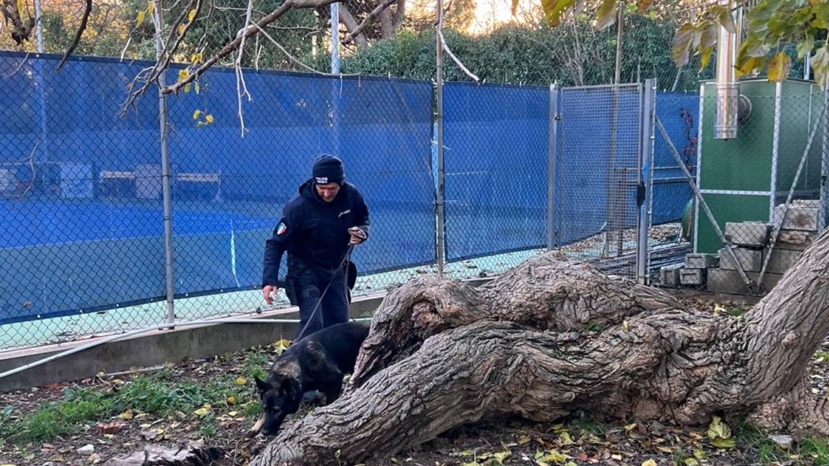 Rimini, vede i cani antidroga e scappa: un arresto in una operazione contro lo spaccio nei parchi