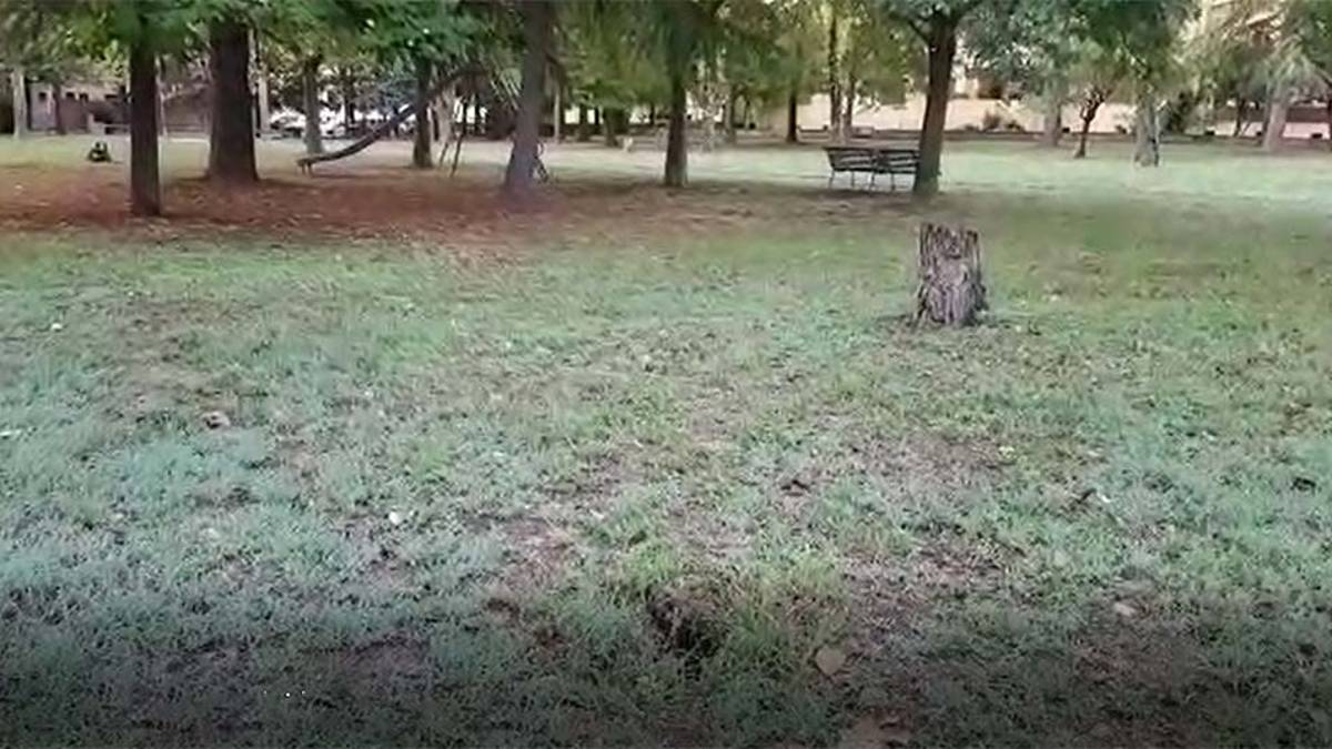 Imola, piede in una buca nel parchetto. Il Comune dovrà risarcire