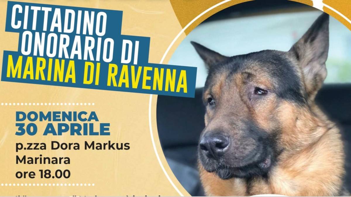Il cane cieco Marley nominato cittadino onorario di Marina di Ravenna