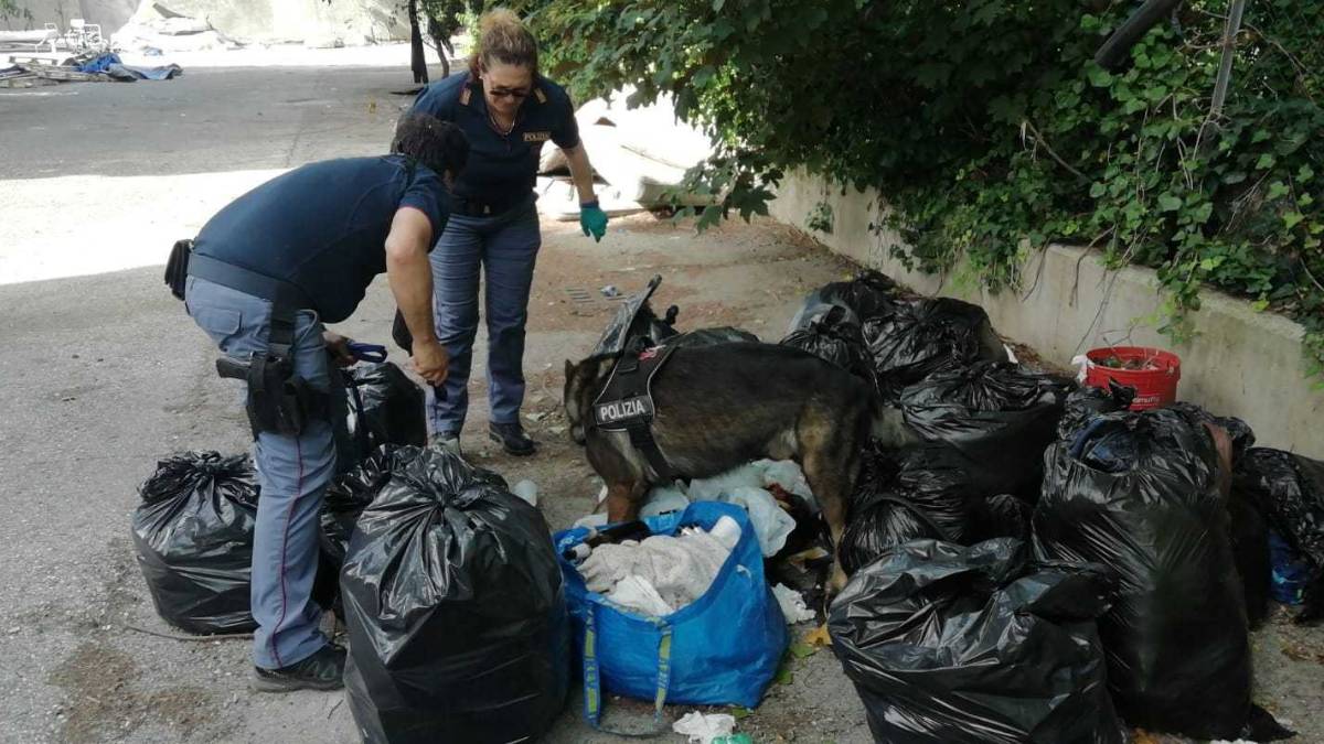 Rimini, controlli della polizia: arrestato spacciatore, espulsi stranieri