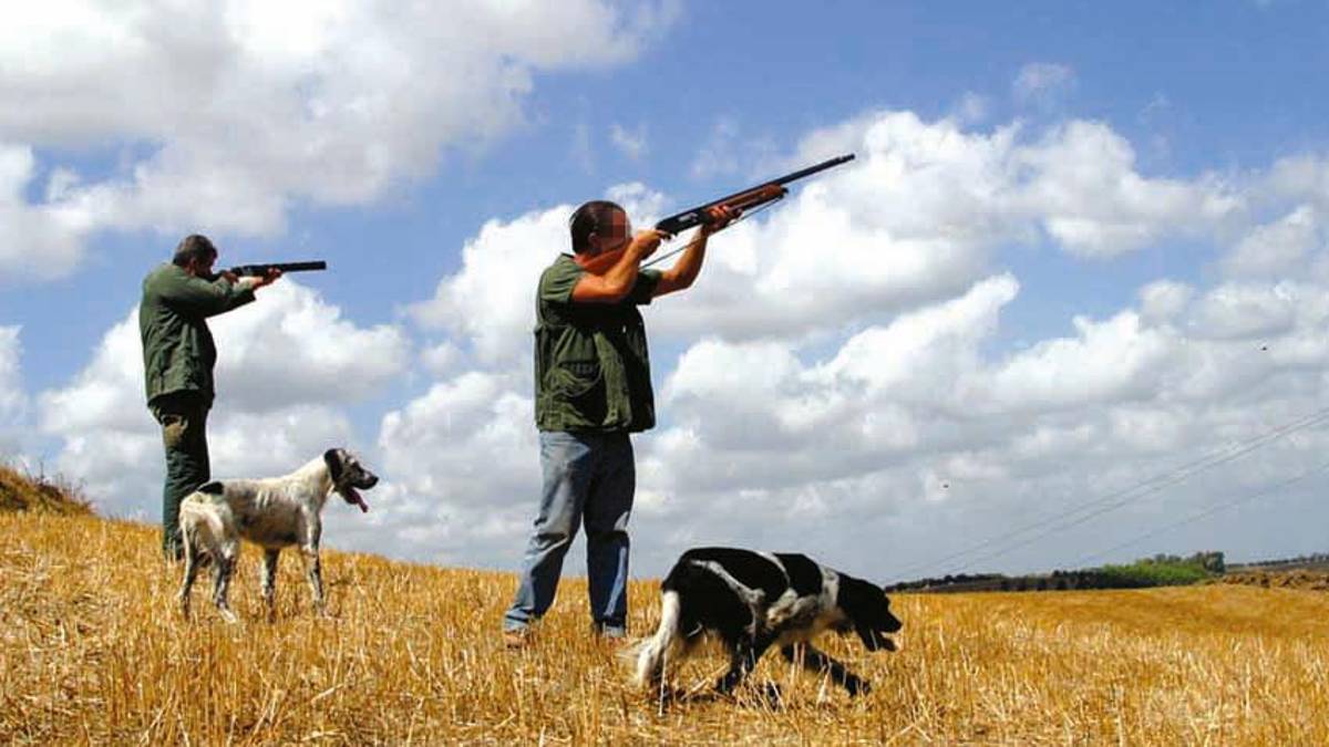 Caccia in Emilia-Romagna, i proprietari dei terreni la potranno vietare assistiti da Animal Liberaton
