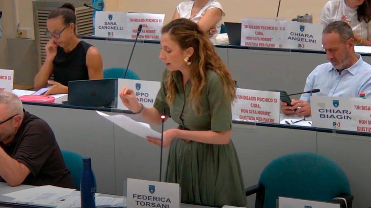 I cartelli con il riferimento a Fakir in Consiglio comunale a Riccione