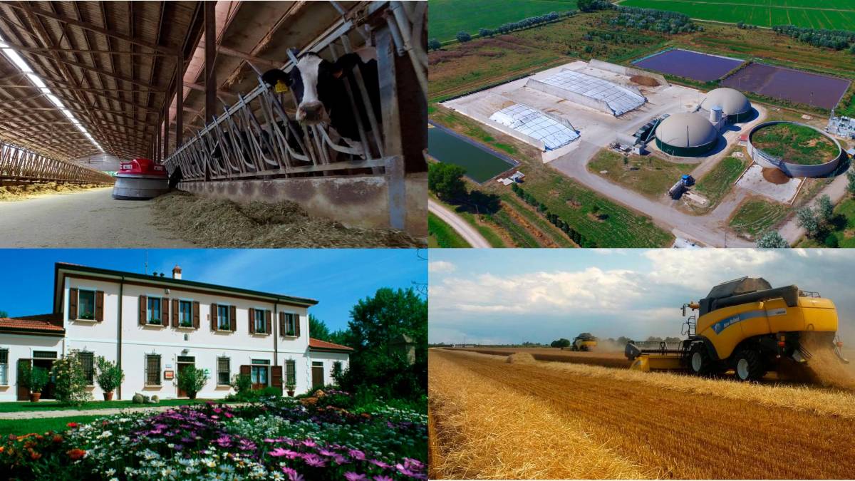 Ravenna, dai reflui delle mucche il gas per cuocere le piastrelle di ceramica