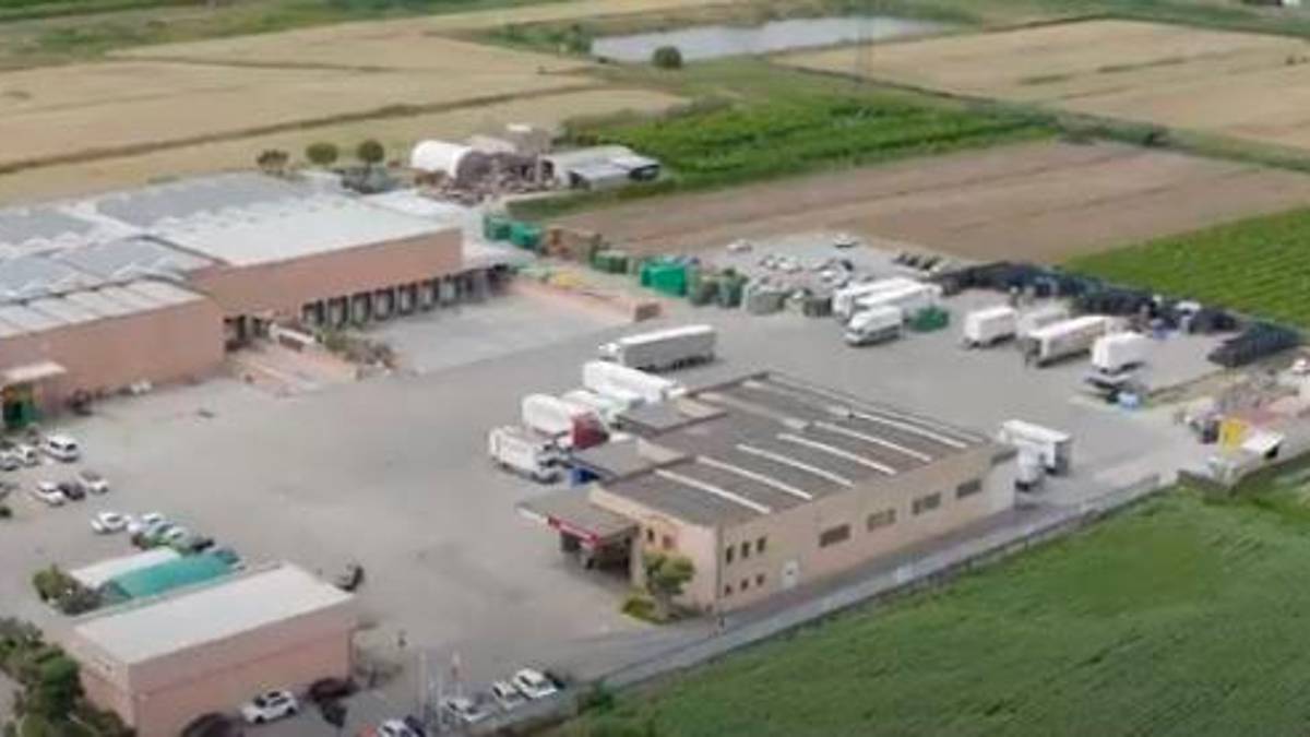 Gli stabilimenti della Fellini Patrizio visti dall’alto del drone