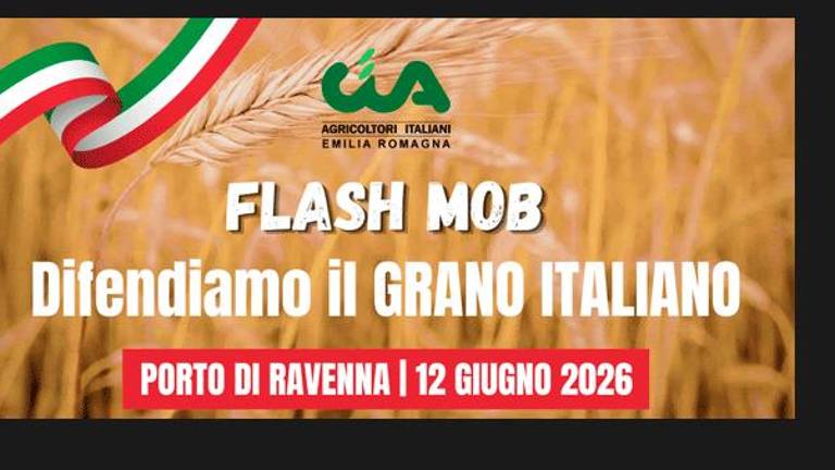 Ravenna, centinaia di agricoltori manifestano al porto