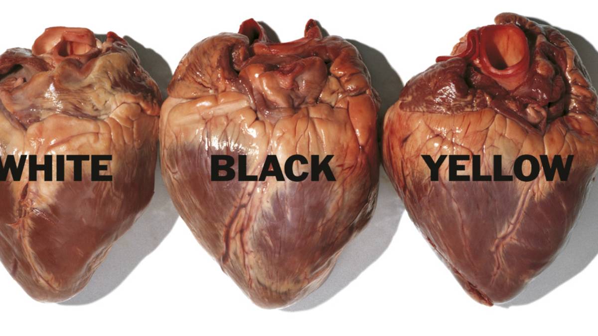 Bologna, Oliviero Toscani in mostra a Palazzo Albergati