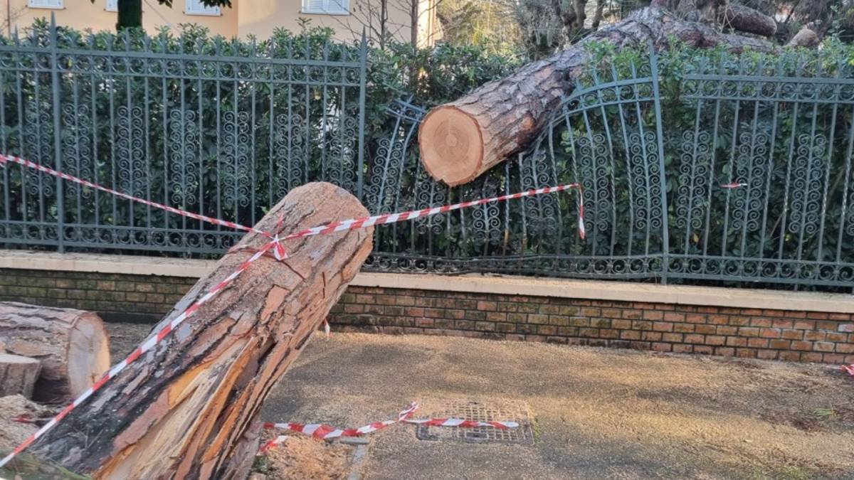 Alberi pericolanti, danni e fango: pulizie in corso a Riccione