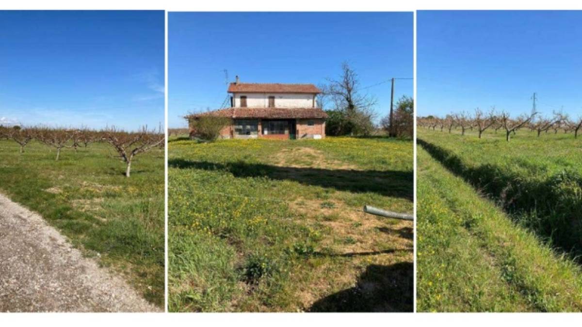 Cesena, all'asta 5 terreni del Comune, per un importo totale di quasi 3,2 milioni di euro