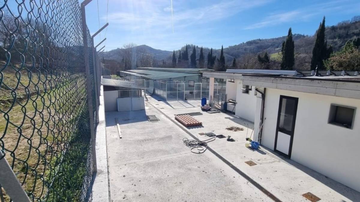 Cesena, al canile di Rio Eremo ultima fase dei lavori di ristrutturazione