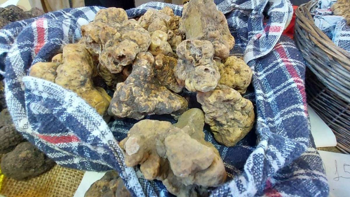 Sant'Agata Feltria. Fiera del tartufo presa d'assalto anche dagli stranieri