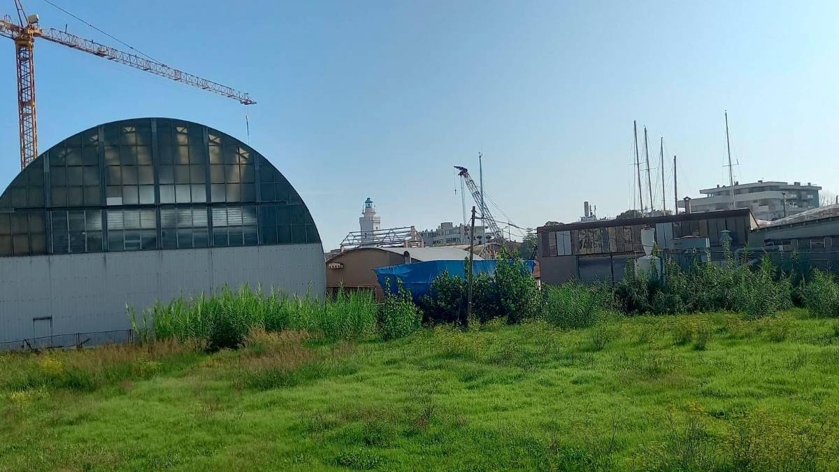 Le foto dell’area allegate alla petizione