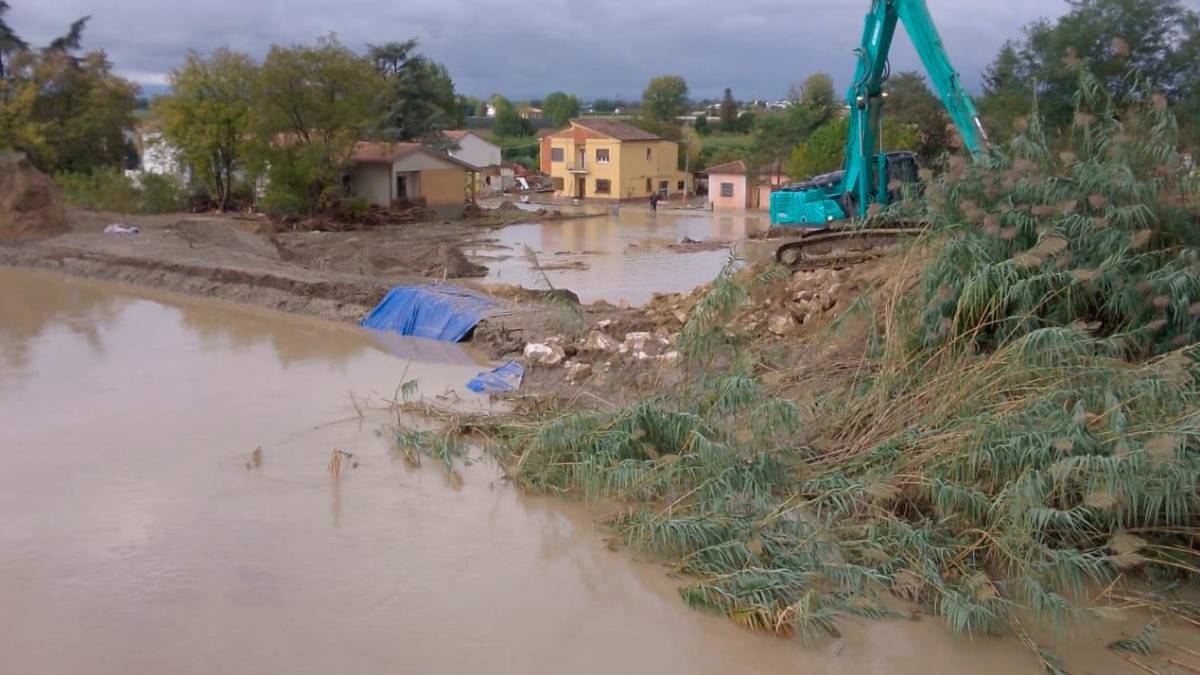Foto e video Massimo Fiorentini