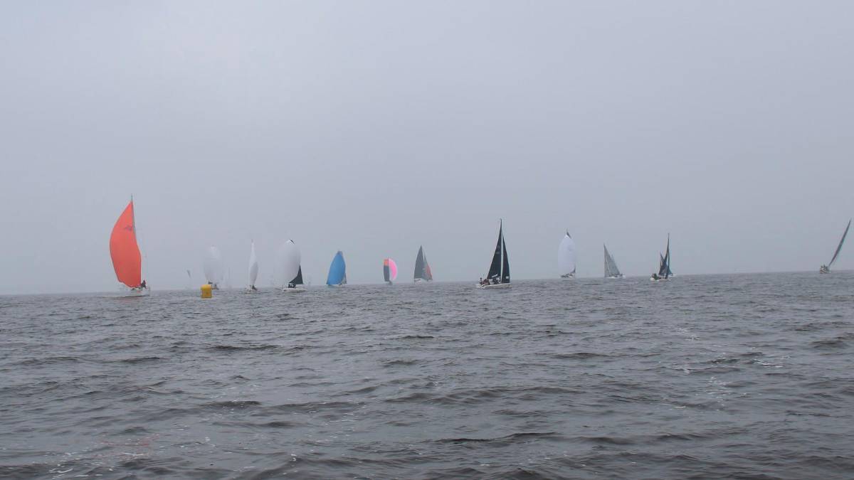 Vela. Campionato d’inverno di Ravenna, ecco i vincitori GALLERY