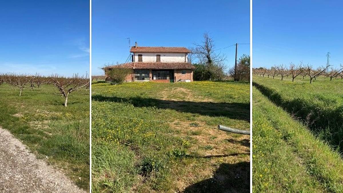 Il Comune di Cesena mette all'asta due poderi a Cesenatico: ecco come partecipare