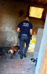 Savignano, lotta all’occupazione abusiva, la Polizia locale ai proprietari: “Chiudete gli accessi degli immobili in disuso”