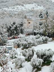 Novafeltria questa mattina