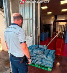 Cesenatico, 1,5 tonnellate di vongole sequestrate e rigettate in mare