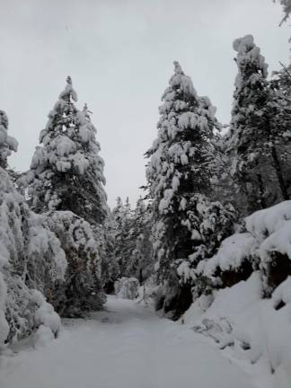 Meteo Romagna, l’Appennino imbiancato: oltre mezzo metro di neve sopra gli 800 metri VIDEO