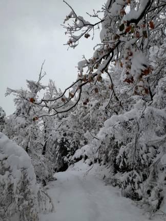 Meteo Romagna, l’Appennino imbiancato: oltre mezzo metro di neve sopra gli 800 metri VIDEO