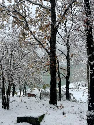 Foto e video Elisa Babbi (Mariachi Snooze di Kevin MacLeod è un brano concesso in uso tramite licenza Creative Commons Attribution)