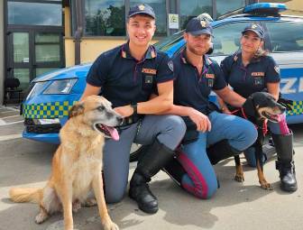 Bagno di Romagna: dispersi lungo la E45, la Polizia salva i cani Leone e Bruno