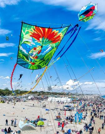 Cervia, il festival degli Aquiloni torna dal 23 aprile al 3 maggio VIDEO