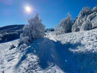 Meteo Romagna, neve sopra i 500 metri giovedì 26 marzo
