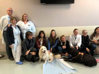 Ravenna, l’ospedale diventa pet-friendly: uno spazio per cani e gatti dei pazienti