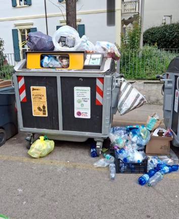 Un cassonetto stracolmo a Borgo Marina
