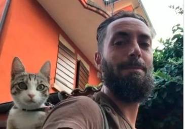 Rimini. Gatta rubata al senzatetto mentre dorme: ritrovata grazie alla solidarietà sui social