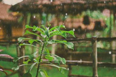 Meteo Romagna, pioggia e temporali: allerta gialla martedì 21 luglio