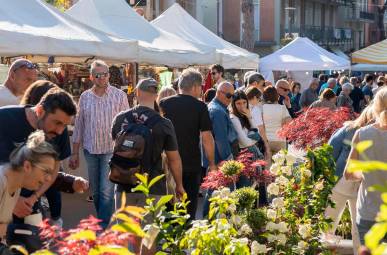 “Cattolica in fiore”: domenica il gran finale