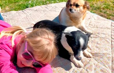 In alto la cagnolina Briciola, uccisa dal veleno, con il cane che si è salvato e la loro padroncina