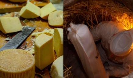Formaggio di fossa di Sogliano: domenica 9 agosto si entra nelle antiche fosse
