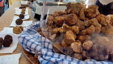 Sant’Agata Feltria, alla fiera si premia il miglior tartufo