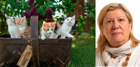 “Dono tutta la mia eredità”: 100mila euro al gattile di Rimini e all’ospedale di Forlì. Il cuore d’oro di Elena Bergnesi