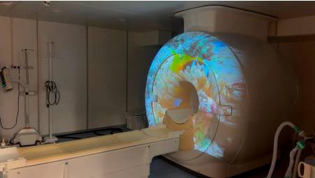 La risonanza collegata a un videoproiettore hd