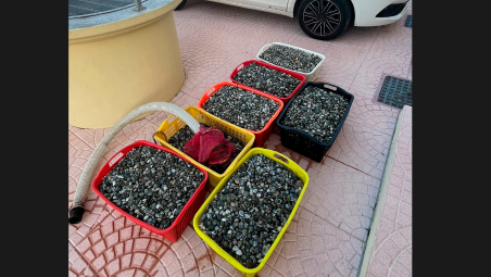 Cesenatico, sorpresi a pescare vongole di frodo: maxi-multa di 2000 euro