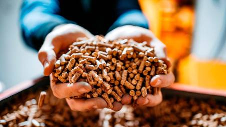 Patenti facili, pellet e pneumatici mai arrivati: smascherate tre truffe online nel Faentino