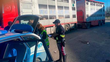 Multato un camionista del Mantovano al casello A14 di Forlì