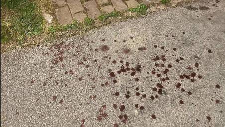 La chiazze del sangue perso dal ladro ferito