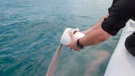 A Rimini impennata di cremazioni: “Ceneri in mare, centinaia ogni anno”