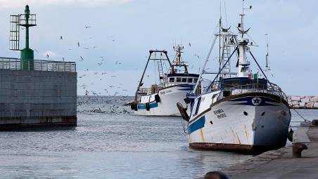 “Una battuta di pesca costa 4mila euro di carburante”: 14 coop e i sindaci della Riviera scrivono al ministro Lollobrigida