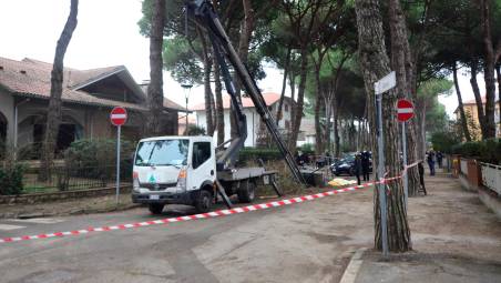 Cervia. Precipitò potando i pini. Chiesta condanna per Deltambiente