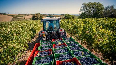 Legacoop Romagna: «Agroalimentare stretto in una morsa: subito interventi strutturali»