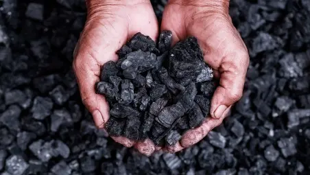 Biochar, il carbone che aiuta suoli e clima
