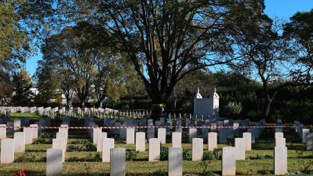 L’albero a rischio crollo e la zona del cimitero recintata (foto Blaco)