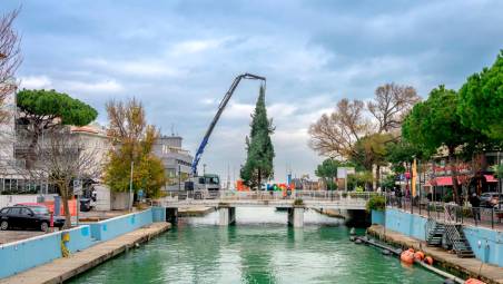 L’Albero di Natale di Riccione è arrivato dalle Foreste Casentinesi: accensione l’8 dicembre